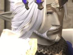 [파판14] 모험가 프로필 (구)