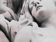 봄비에 떨어진 벚꽃 한 잎