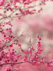 흘러가는 단편들