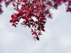 나를 원하는 너를 원하고, 원해