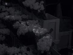 흑귀, 헛소리도 정도껏 해야 재밌죠!