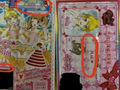 프리파라코디팝니다