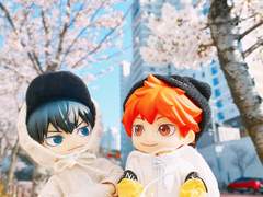 벚꽃나들이 2탄 카게히나