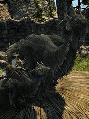 파이널 판타지14