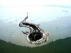 [츠무히나] 엘릭서 (ELiXiR) #2