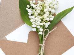 어쩌면 시한부, 어쩌면 한정판