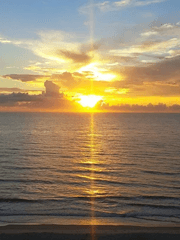 나의 기록지記錄紙