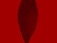 [BL] 내 애인해라. 프롤로그