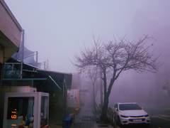 [기사] 간첩으로 '만들기' 딱 좋은 제주사람들