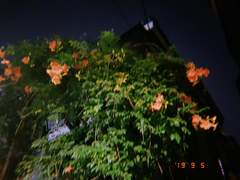 성노동과 주체성은 왜 자꾸 붙어 다닐까요?