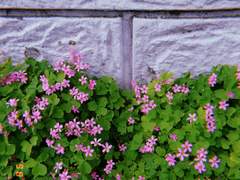 성노동자들의 정보 교류