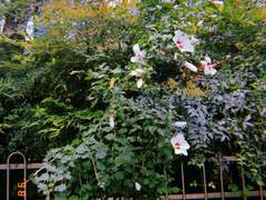 언니 키스방에서 일하지 마세요!