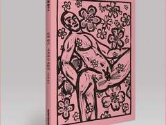 아키라 더 허슬러, 남창일기