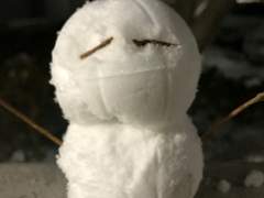 한번 볼레?(1편)