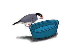 [아라레] 레트로 수영장