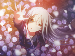 언젠가 본 꿈을 (전편)