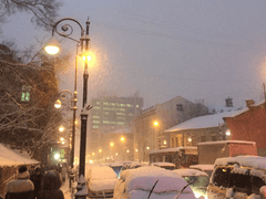 치즈를 찍지 마세요.