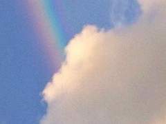 심청우 • XY • 19