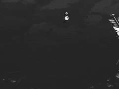 나보고 뭘 하라는거에요.