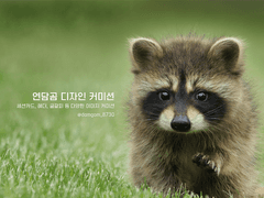 연담곰 디자인 커미션