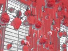 [KV] - 네 멋대로 해라 01