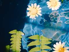 너에게 빠지는 일. 천 년을 거듭해도 온도를 잊는 일, 그런 일.