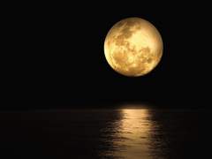 당신을 잃은 시간