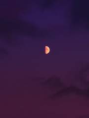 벗어나지 못하는