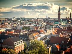 북극여우 관찰일기 15