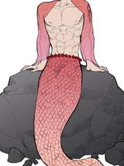 원피스 자잘한 글