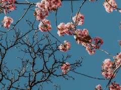 5. 일단 나가자!