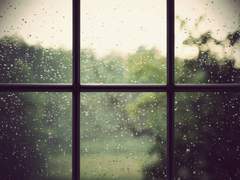 [형시] 초록비 - 1