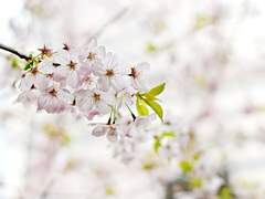 [셈한] 네가 내뱉는 무수한 단어들이