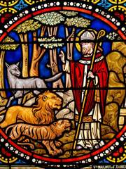 이번엔 제가 지켜야 합니다