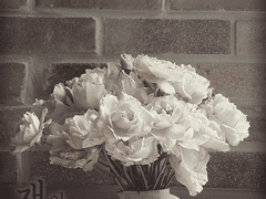 [제드진/AU] 재와 꽃잎 (8)