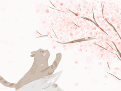 토성 커플의 꽃놀이