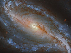 We Already Fell in Love