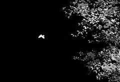 그에 현혹되어.