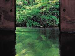 all for love 梦尽: 八