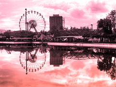 멈춘 관람차 아래에서 그들은