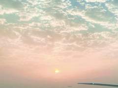 발췌 배경용 이미지