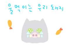 울먹이는 우리 돼지