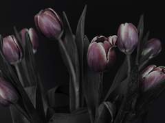 겨울을 닮은 사람아