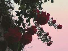 수없이 반짝일 별들