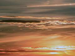 피네 헬리오스 (26)