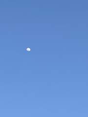 나의 유서와 일기들