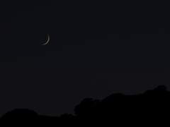 월하정인(月下情人) 12