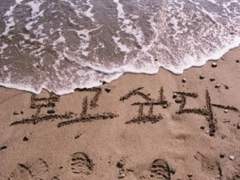 곰탕처럼 하얀국물