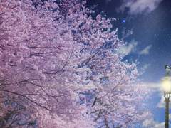 다정한 너에게 보내는 답.