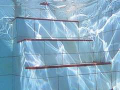 다이빙 세션 承